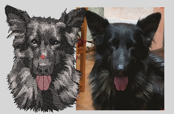 Personalizado mascotas