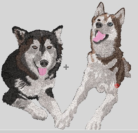Personalizado mascotas