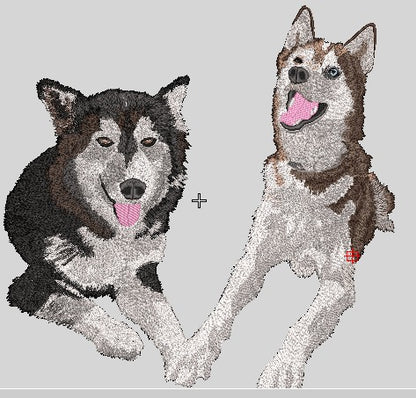 Personalizado mascotas