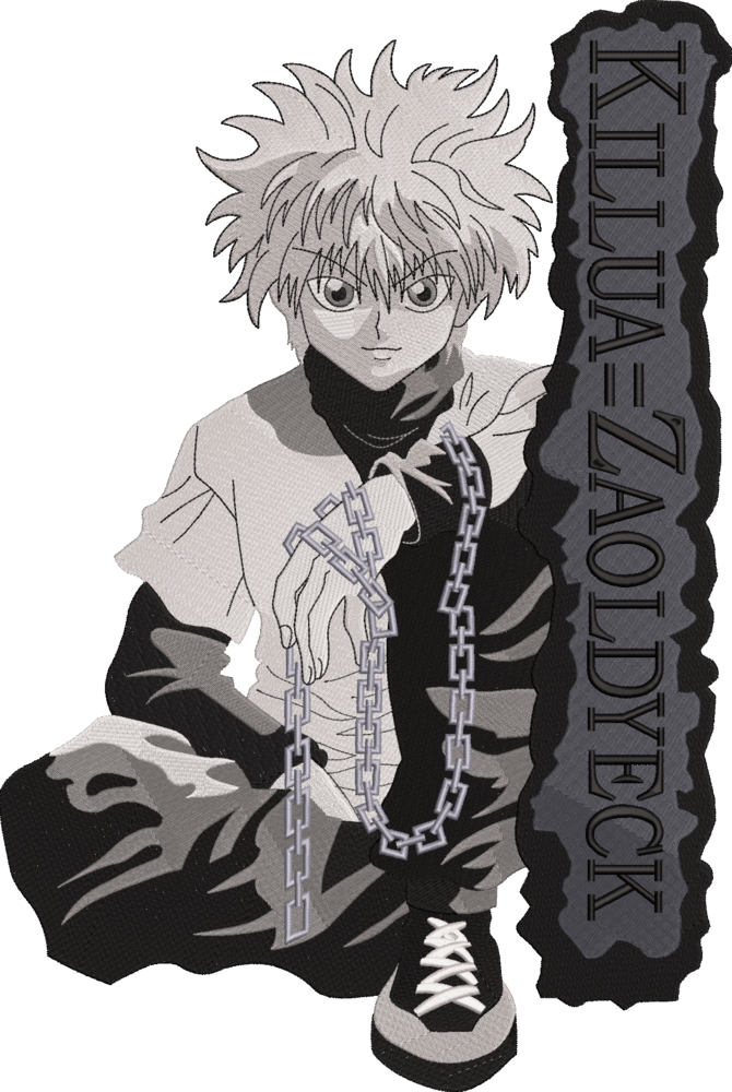 Killua Zoldyck HxH